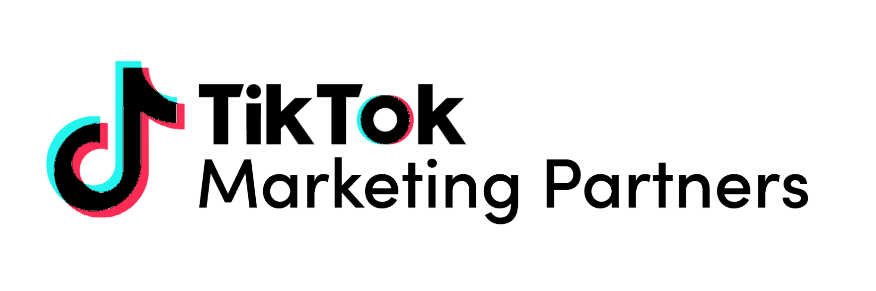 TikTok Marketing Partner